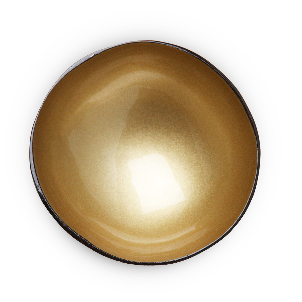 Coconut Bowl - Light Gold Metallic Paint