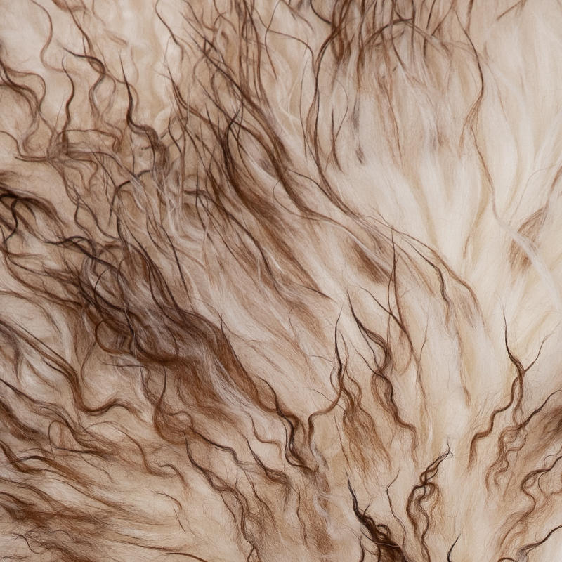 Icelandic sheepskin - White-Brown curly - M