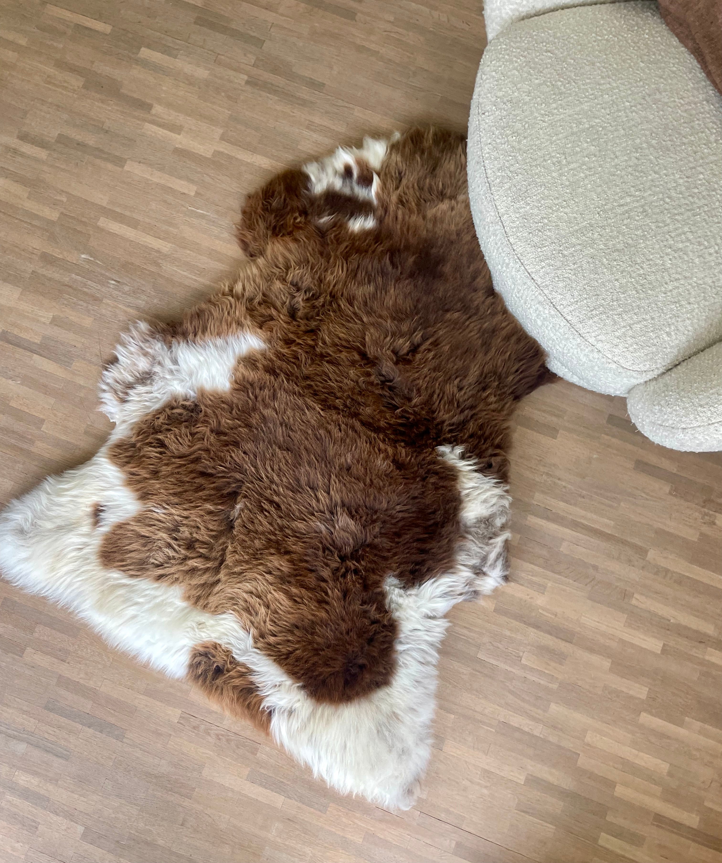 Multicolored Texel sheepskin XXL