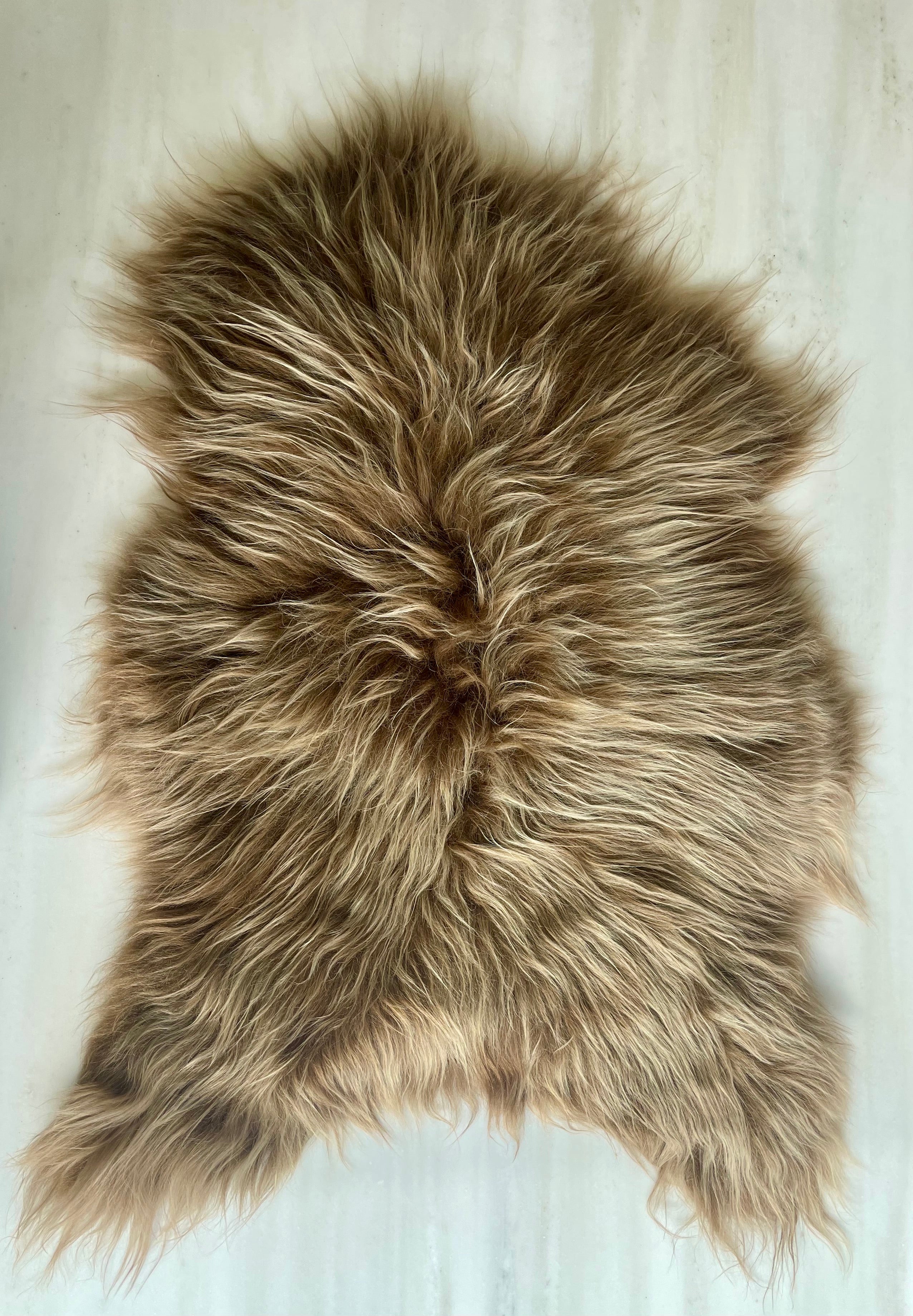 Icelandic sheepskin - Brown - L